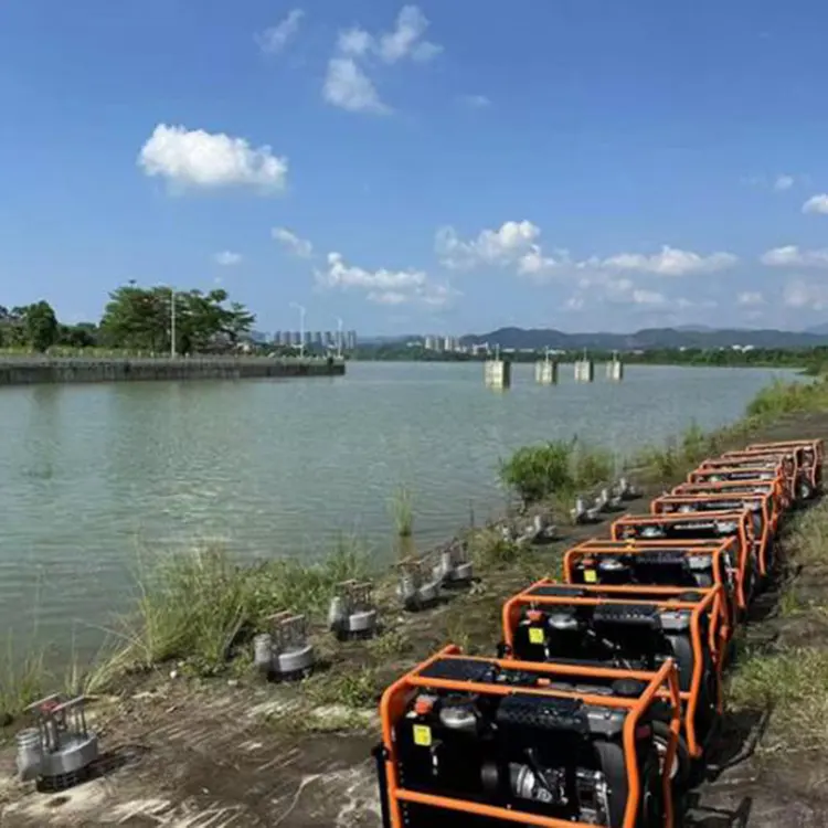 Hydraulic Slurry Pump